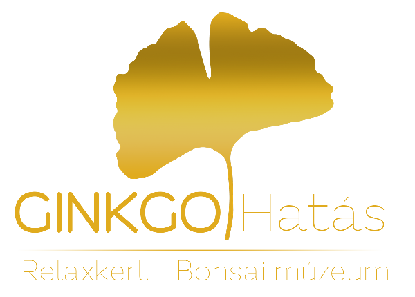 Ginkgo Hatás